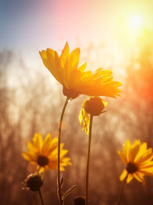 Njihuni me surprizat e motit për këtë javë