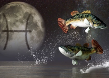 Është koha të lulëzoni – Horoskopi i muajit Qershor për Peshqit