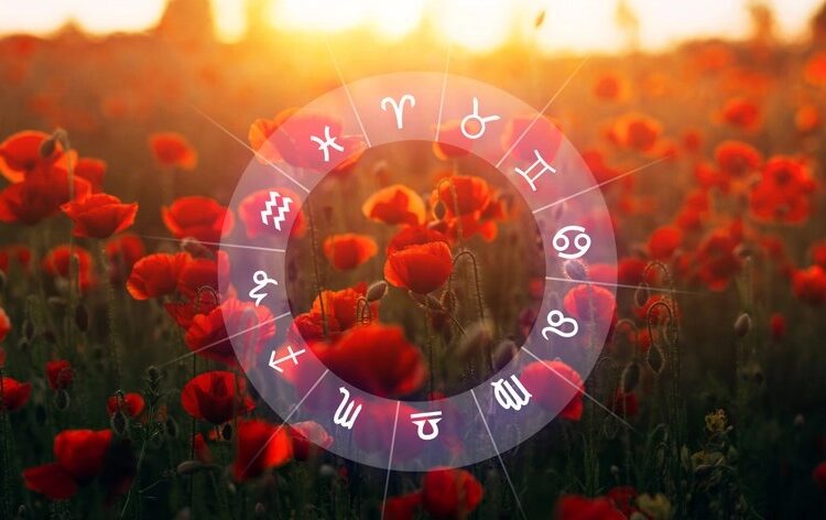 Horoskopi ditor/ Romancë, ndryshime dhe lajme të mira