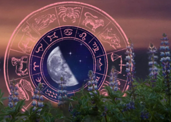 Horoskopi javor/ Koha për të shëruar “plagët”