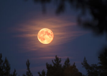 Sonte të gjithë sytë nga qielli, ndriçon superhëna e fundit e vitit!