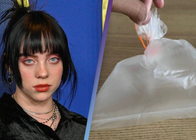 Epo e dëgjuam dhe këtë! Fansi shet ajrin nga koncerti i Billie Eilish për 15.000$