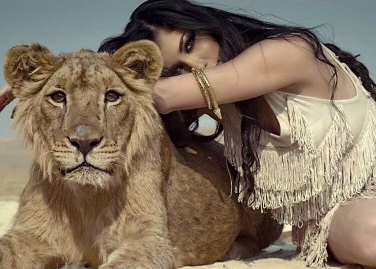 Tetori do që Luanët të pushojnë!