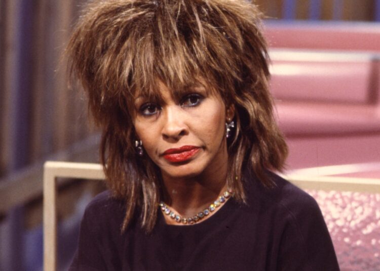 Tina Turner në zi, gjendet i vdekur djali i saj