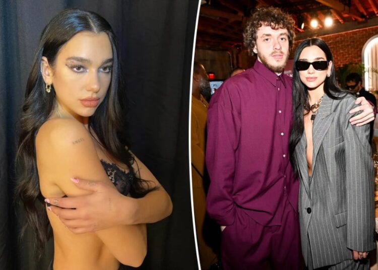 Dua Lipa në një lidhje të re dashurie me këngëtarin që shkroi këngë për të