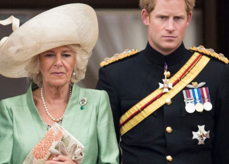 “Kanë futur në shtrat djallin”, Harry hedh akuza të rënda mbi njerkën, Camilla-n