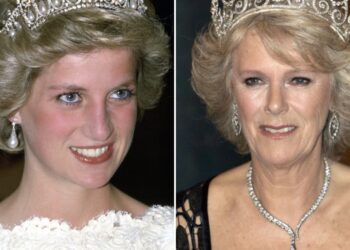 Në përballjen me Camilla-n, princeshë Diana paska qenë shumë gjakftohtë!