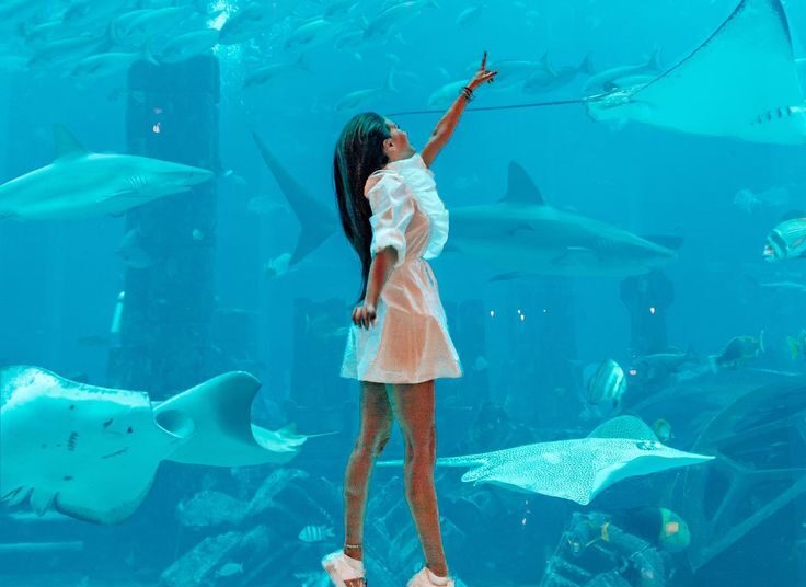 Një aspiratë e re emocionuese – Si do jetë Shkurti për Peshqit sipas yjeve