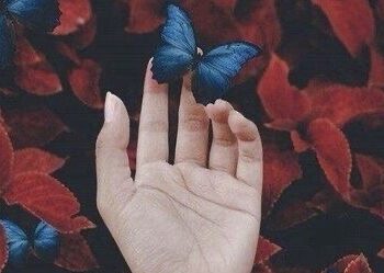 Shigjetari në udhëkryq, një projekt i ri për Peshqit, mos e humbisni horoskopin sot!