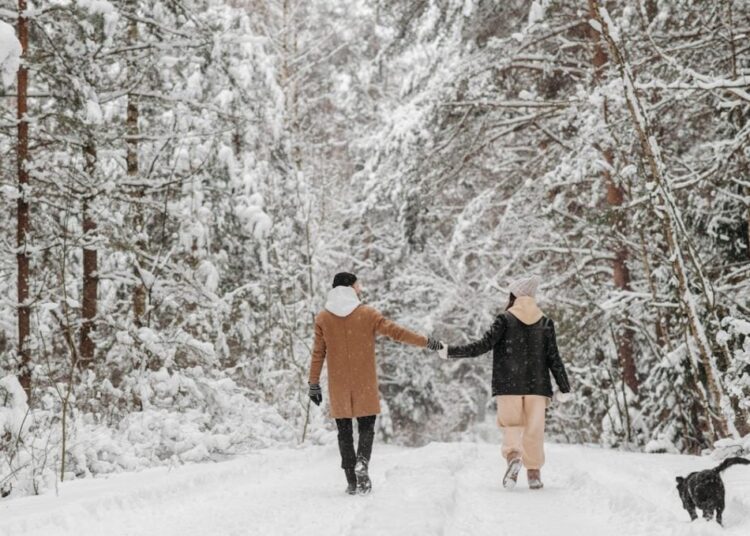 Aventurë e re për Demin, lajme befasuese për Akrepin, horoskopi sot paska të papritura për të gjitha shenjat