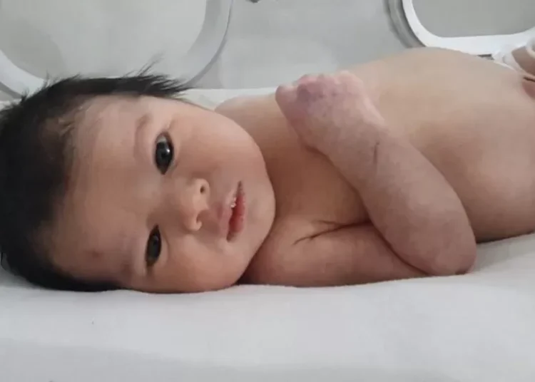 Lindi ditën që tërmeti i mori gjithë familjen, mijëra kërkesa për të birësuar vajzën siriane!