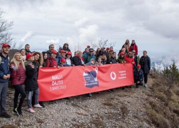 #NdizNjëShpresë  Fondacioni i Vodafone Albania në ndihmë të grave viktima të dhunës