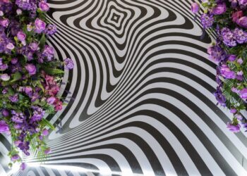 5 arsye pse duhet të vizitosh “Selfie Museum Albania”!