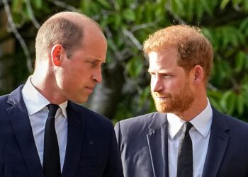 Princ William dhe princ Harry mund të takohen më shpejt sesa e kishin menduar!