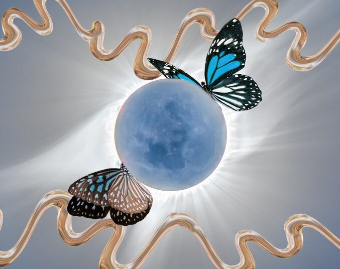 Java nis me të papritura, ja shenjat më me fat këtë të hënë