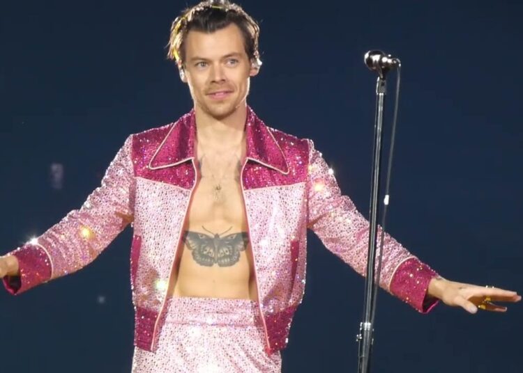 Harry Styles flirton me një fanse mes koncertit dhe i thotë ‘Po’ ftesës së saj për “diçka” më shumë