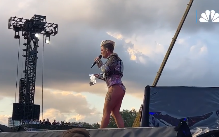 E pazakontë në koncertin e Pink, fansja i hedh hirin e nënës së vdekur në mes të skenës!