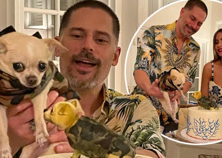 Sofia Vergara dhe Joe Manganiello nuk po bien dakord për divorcin dhe shkak është bërë qeni i tyre!