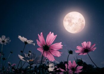 Spektakël në qiell më 1 gusht