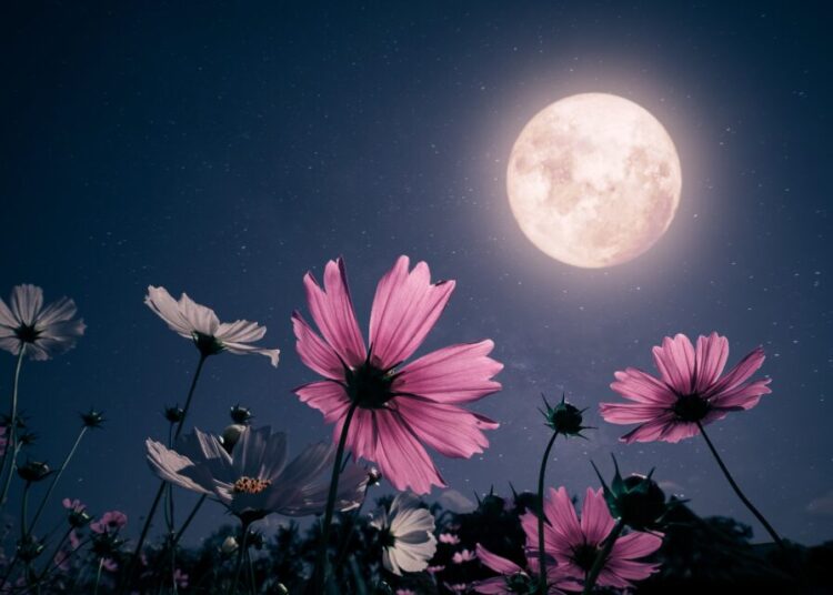 Spektakël në qiell më 1 gusht