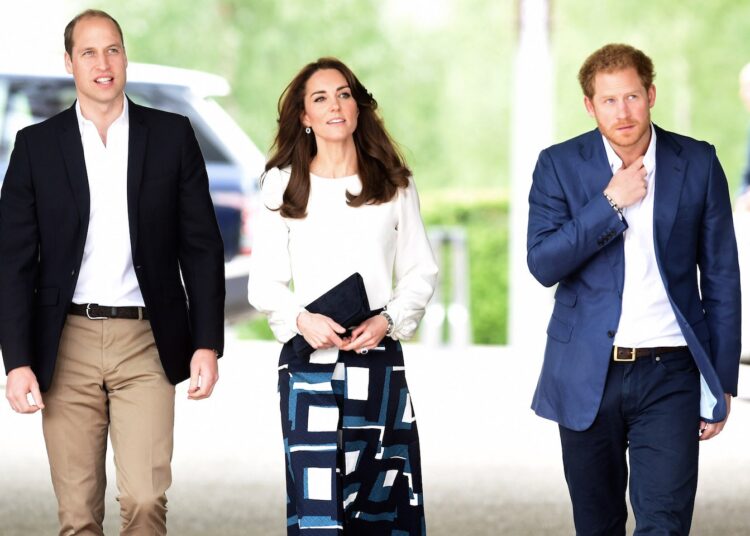 Kate po bën të pamundurën që vëllezërit William-Harry të pajtohen!