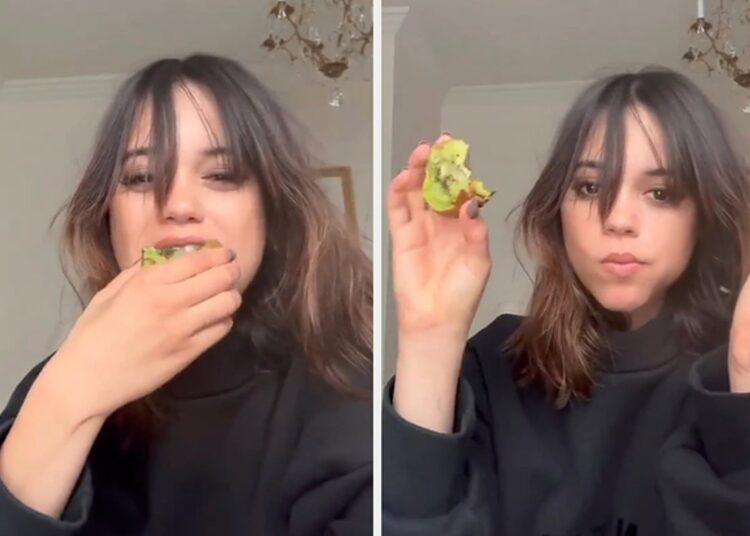 Wednesday e ha kivin me lëkurë dhe i habiti të gjithë!