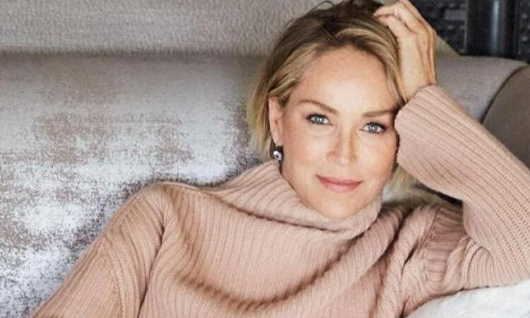 Rrëfimi i trishtë i Sharon Stone: Si ma shkatërroi karrierën një hemoragji e 22 viteve më parë!