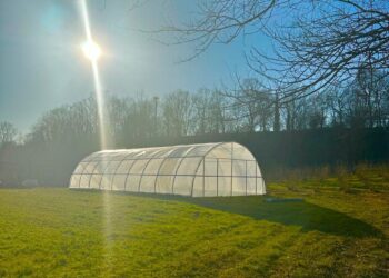 Shtëpi, stallë, liqen, ja si do të jetojnë personazhet në “Ferma VIP”!