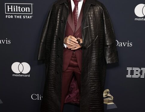 Si u veshën yjet në Pre-Grammys Party