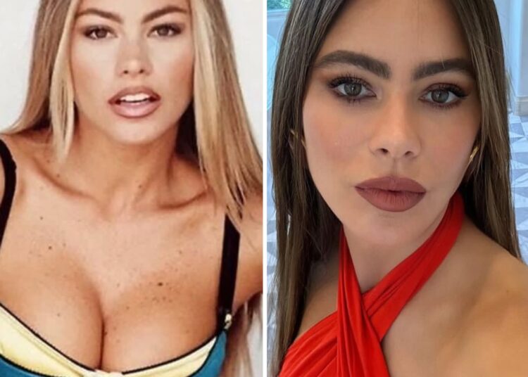 Sofia Vergara nuk është ende gati për operacione plastike!