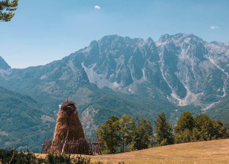 Shtegu i Gështenjave, destinacioni më i ri turistik!