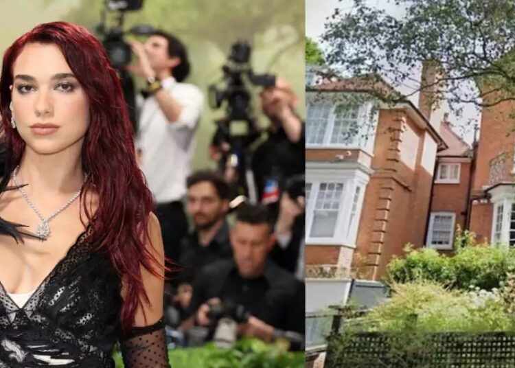 Dua Lipa gërmon 500 ton tokë në shtëpinë së saj në Londër për këtë arsye