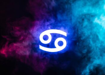 Gaforrja – Aventura ju presin në muajin shkurt