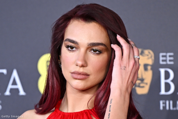 Dua Lipa i kërkon kryeministrit britanik mbrojtje nga inteligjenca artificiale!
