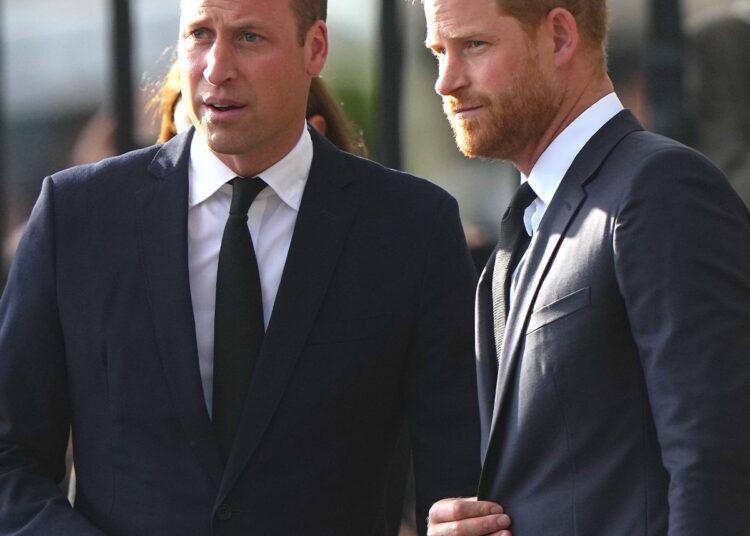 Skandali mbretëror i vitit: William nuk flet me Harry-n dhe arsyeja e vërtetë sapo doli në dritë!