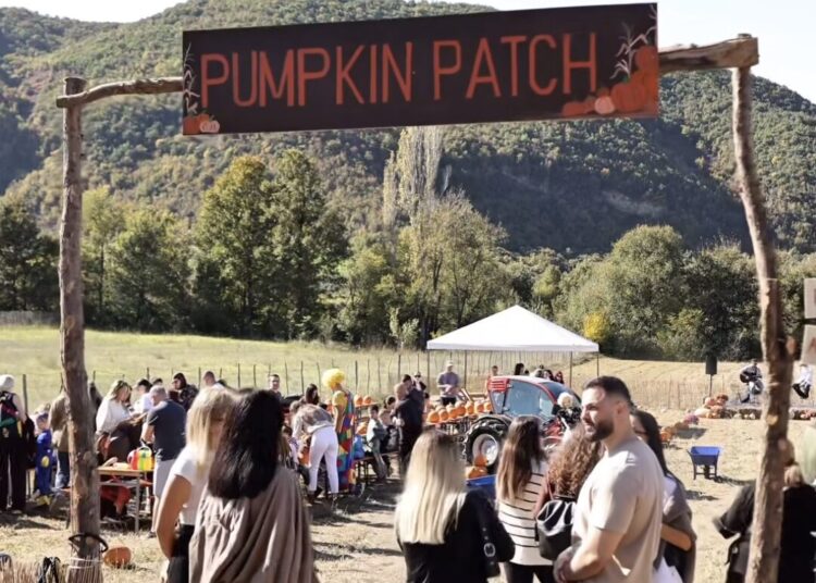 Jo thjesht një festë! “Pumpkin Patch” u kthye në përvojën më të ëmbël të sezonit!