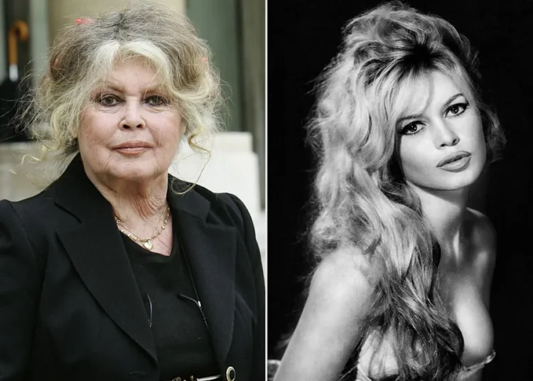 Brigitte Bardot postoi një amanet të fundit në Instagramin e saj një ditë para se të ndahej nga jeta