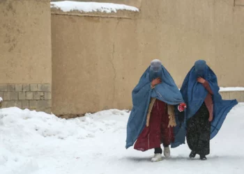 Ligj barbar në Afganistan, talebanët legalizojnë dhunën në familje: për aq kohë sa nuk thyhen kockat…