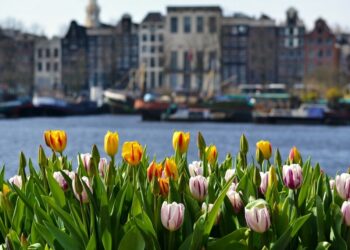 Nga Amsterdami në Tiranë: 9 qytetet evropiane më të kërkuara për një udhëtim në mars!