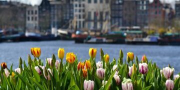 Nga Amsterdami në Tiranë: 9 qytetet evropiane më të kërkuara për një udhëtim në mars!