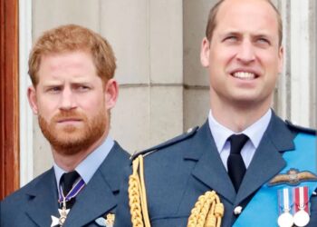 3 vjet pa folur me njëri-tjetrin, çfarë po ndodh mes vëllezërve William-Harry?