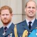 3 vjet pa folur me njëri-tjetrin, çfarë po ndodh mes vëllezërve William-Harry?
