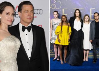 Angeline Jolie asnjë lidhje romantike që nga divorci me Brad Pitt, zgjodhi mëmësinë!
