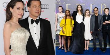 Angeline Jolie asnjë lidhje romantike që nga divorci me Brad Pitt, zgjodhi mëmësinë!