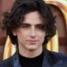 “Askush nuk interesohet për baletin apo operën”, komenti i Timothée Chalamet ndez një debat global në botën e artit!
