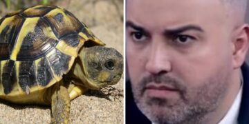 Nisur nga rasti i Rogertit me breshkat, çfarë janë në të vërtetë fobitë dhe si trajtohen ato!