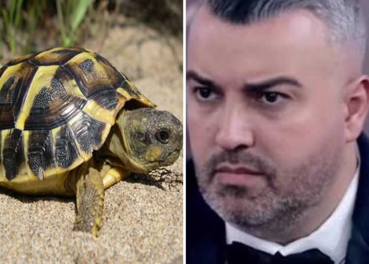 Nisur nga rasti i Rogertit me breshkat, çfarë janë në të vërtetë fobitë dhe si trajtohen ato!